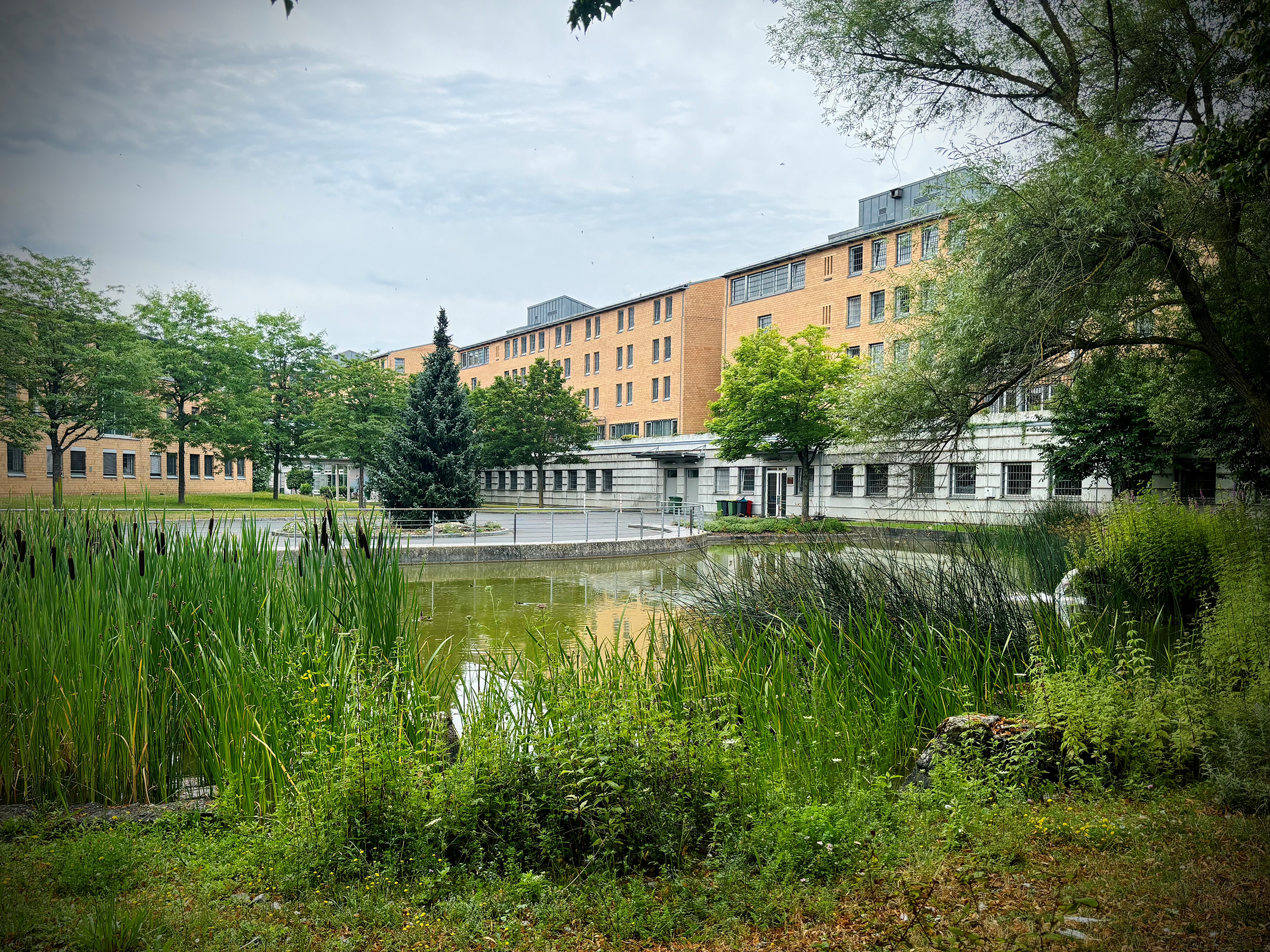 JVA